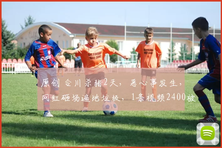 原创 合川杀猪2天，恶心事发生，网红砸场遍地垃圾，1条视频2400被骂