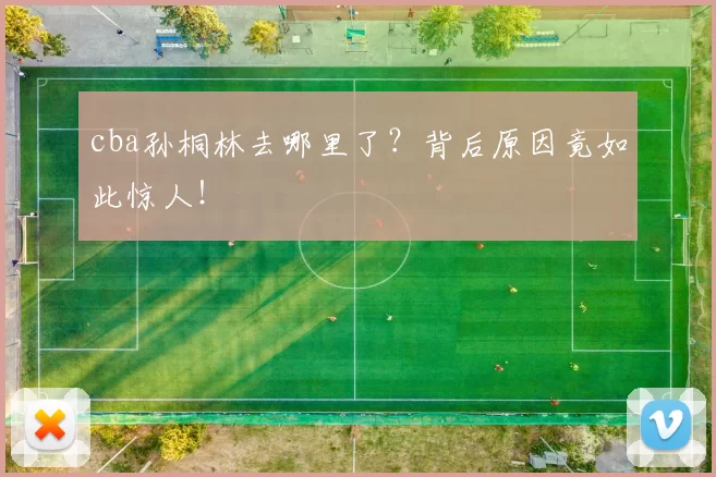cba孙桐林去哪里了？背后原因竟如此惊人！