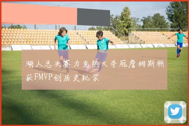 湖人总决赛力克热火夺冠詹姆斯斩获FMVP创历史纪录