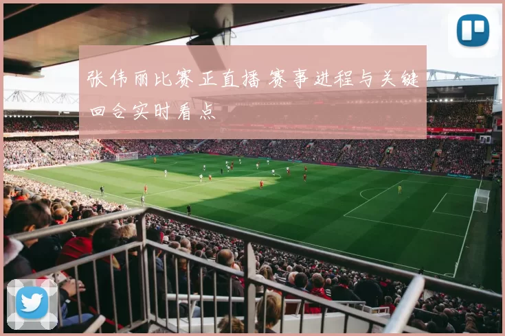 张伟丽比赛正直播 赛事进程与关键回合实时看点